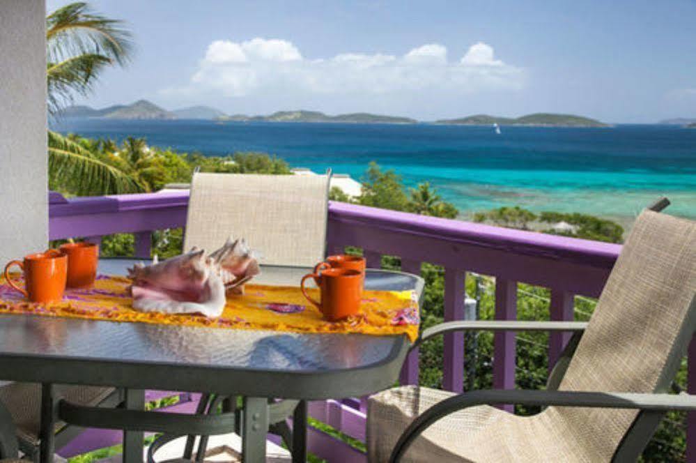 Lavender Hill Suites Cruz Bay Ngoại thất bức ảnh